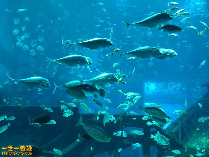 IMG_0722.JPG