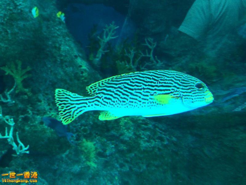 IMG_0767.JPG