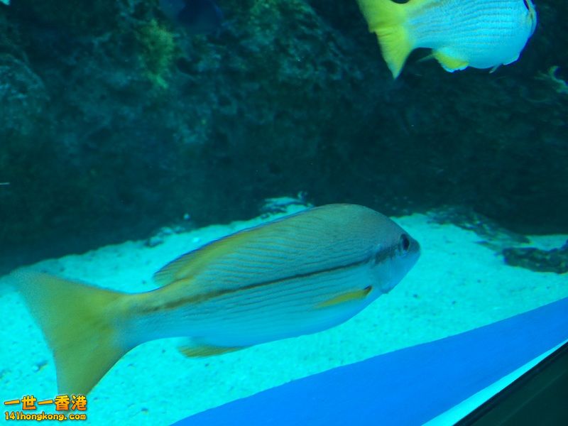 IMG_0769.JPG