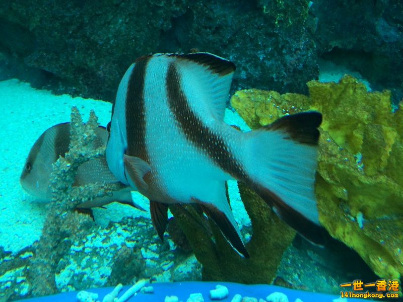 IMG_0787.JPG