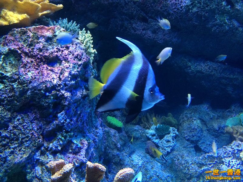IMG_0797.JPG