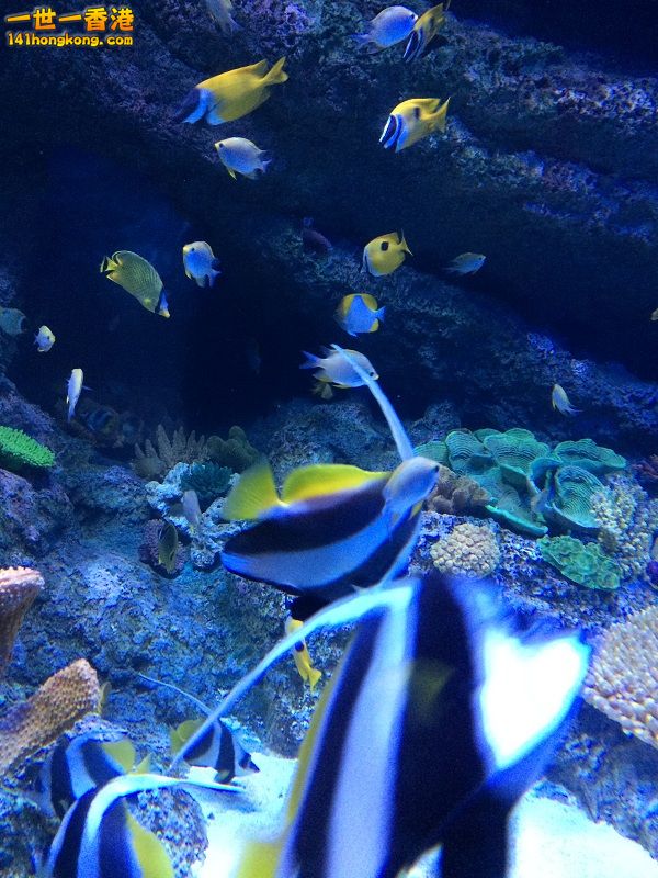 IMG_0804.JPG
