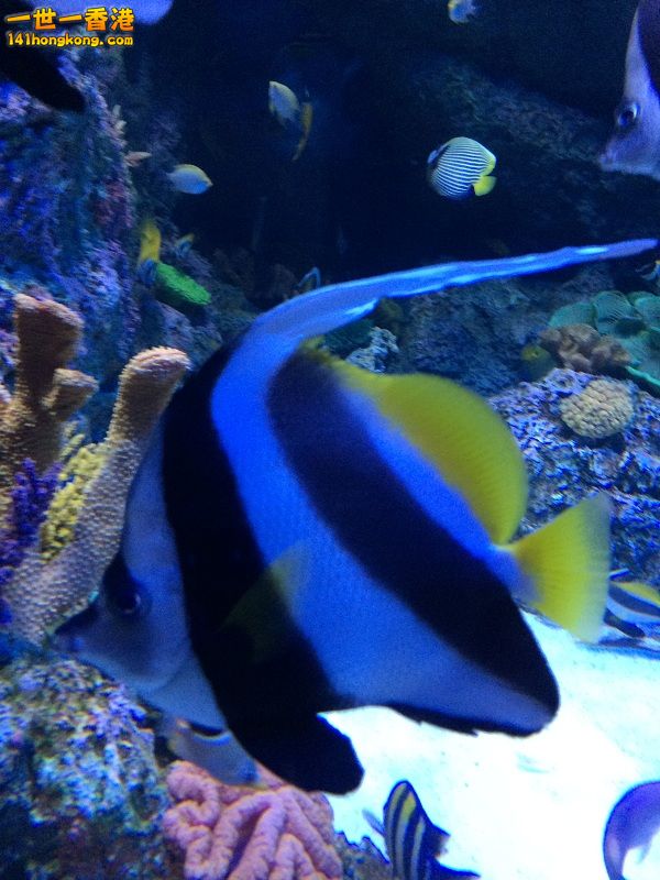IMG_0805.JPG