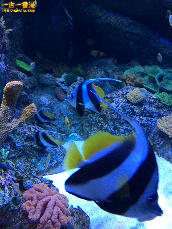 IMG_0806.JPG