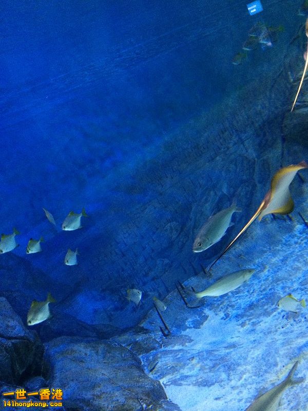 IMG_0867.JPG
