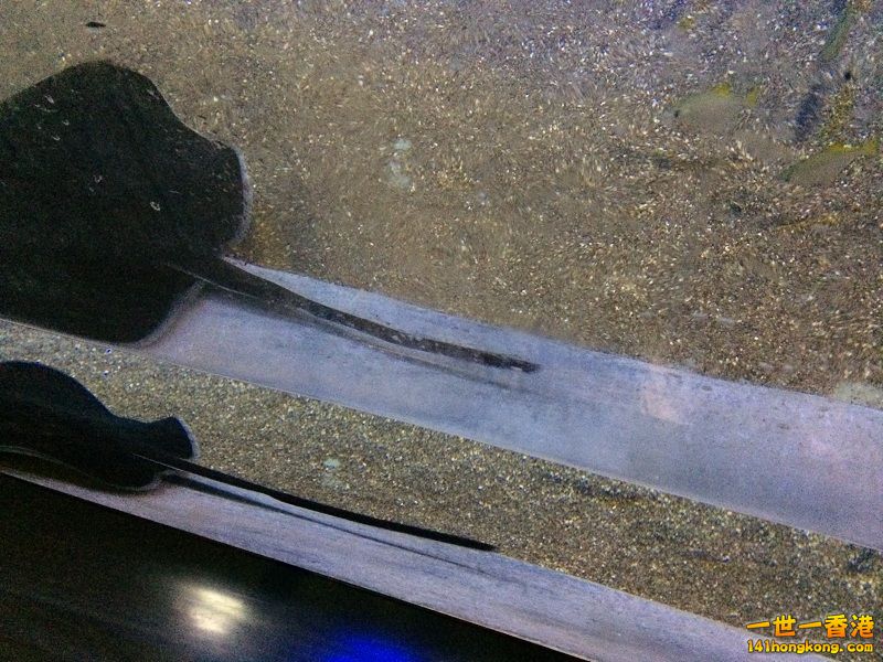 IMG_0874.JPG