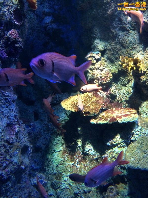 IMG_1030.JPG