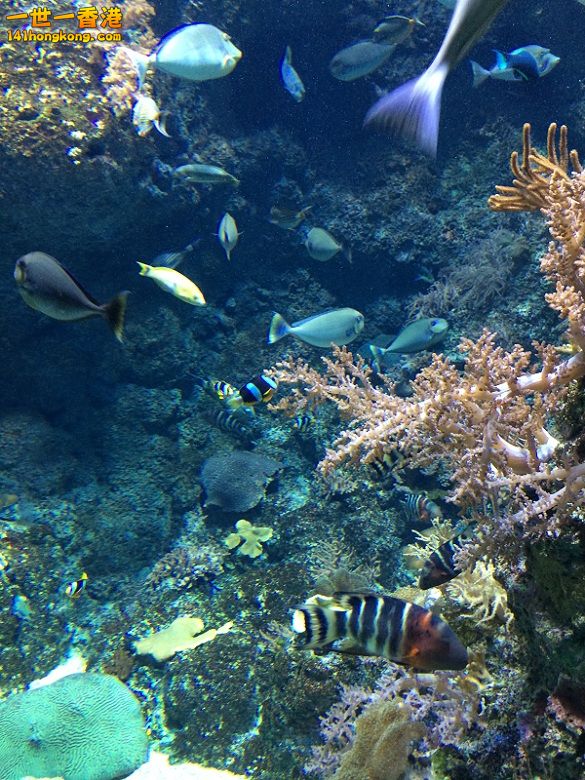 IMG_1080.JPG