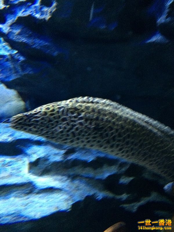 IMG_1086.JPG
