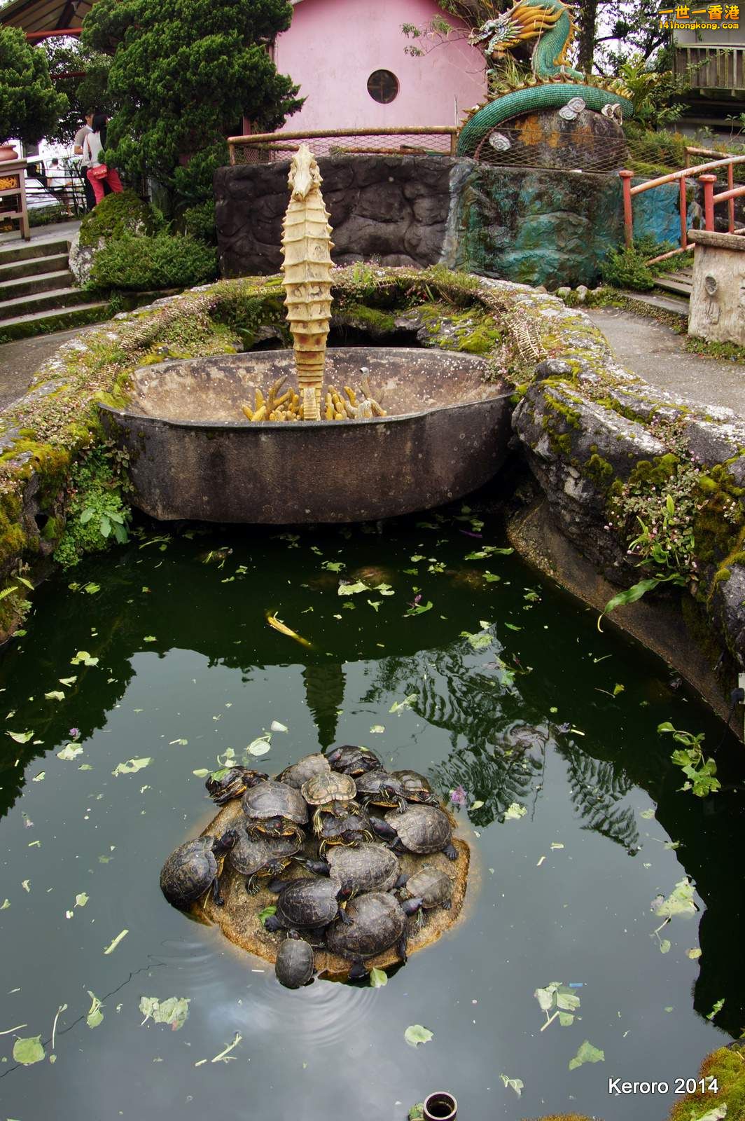 DSC07485.JPG