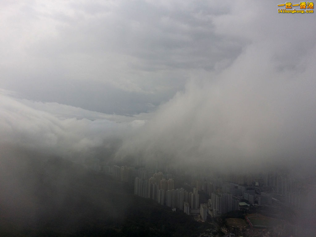 z20140402_093715.jpg