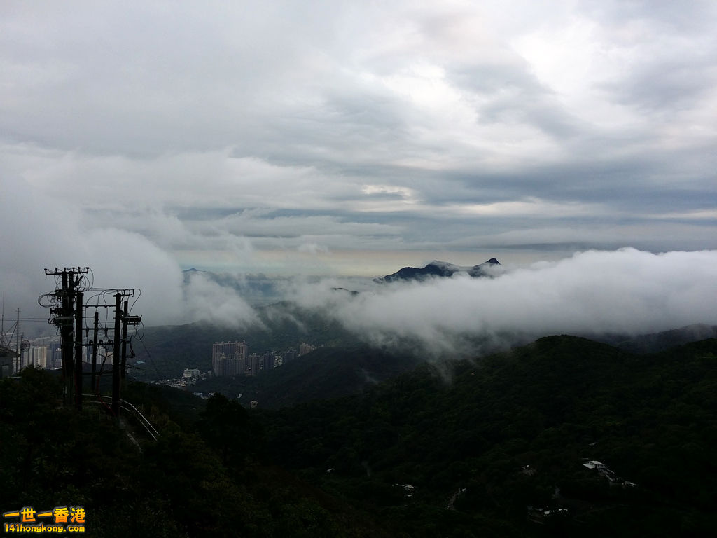 z20140402_103900.jpg