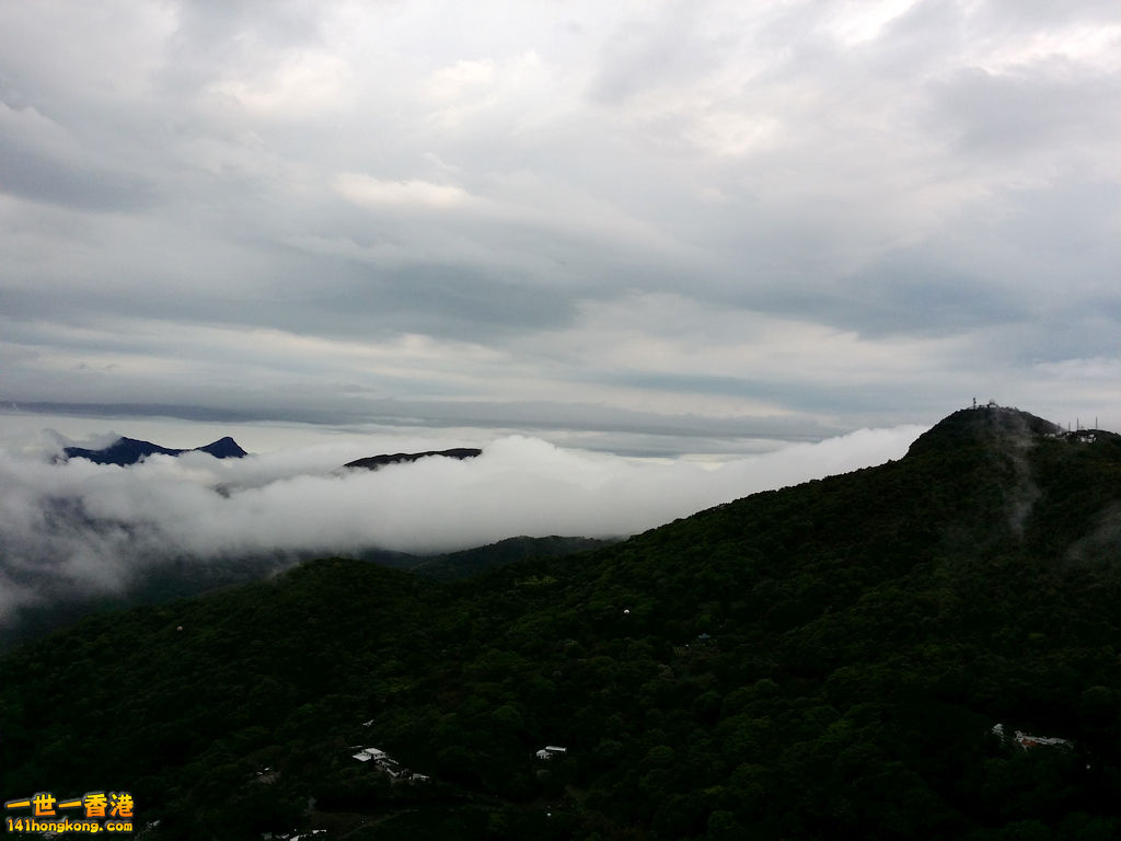 z20140402_102847.jpg