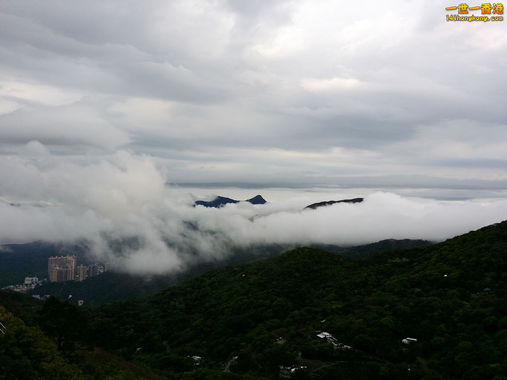 z20140402_102852.jpg