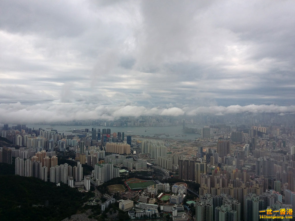 z20140402_104007.jpg