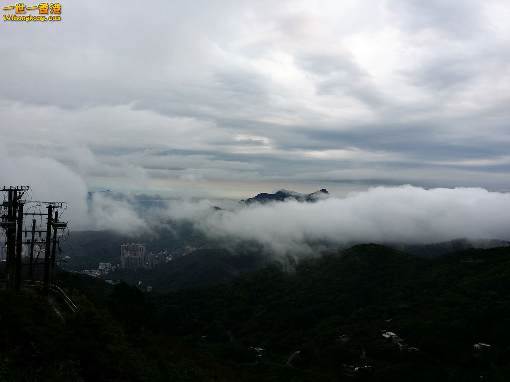 z20140402_103906.jpg