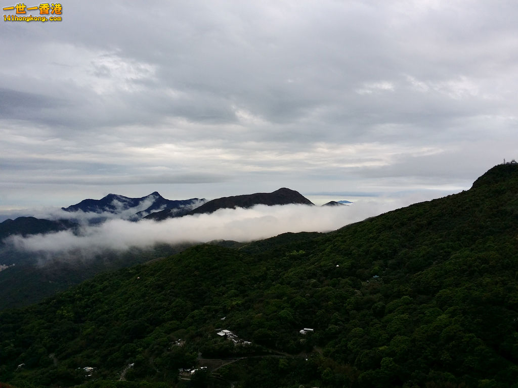 z20140402_105028.jpg