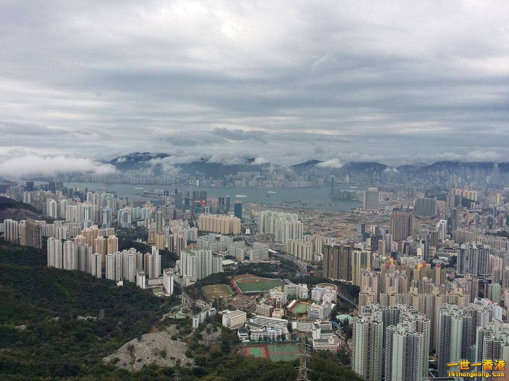 z20140402_105254.jpg