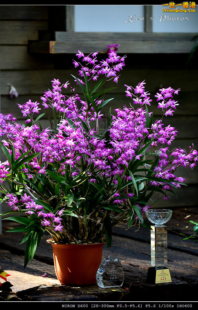 DSC_8207.jpg