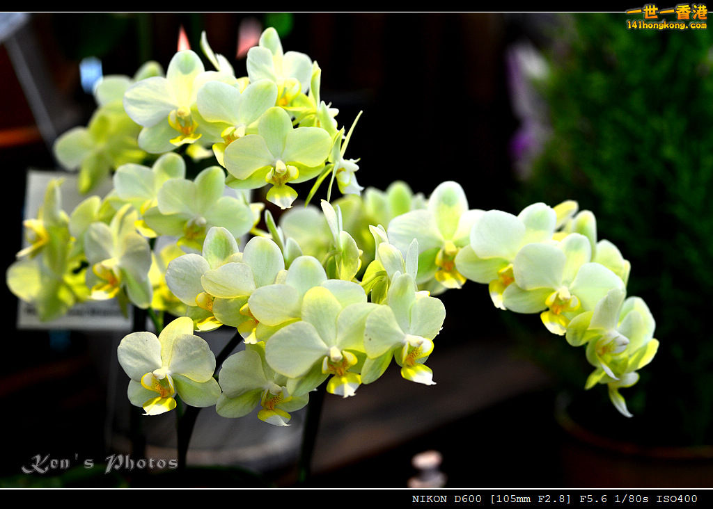 DSC_8201.jpg