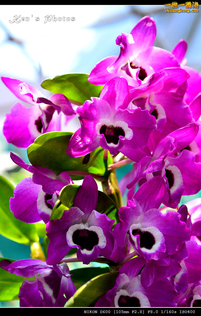 DSC_8161.jpg