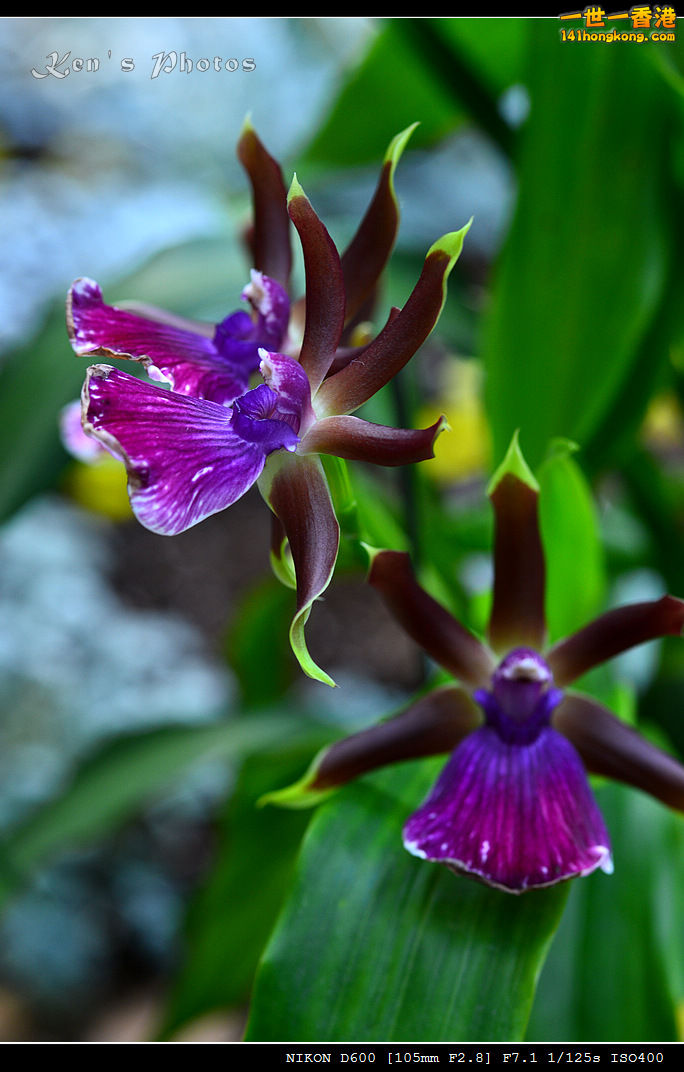 DSC_8176.jpg