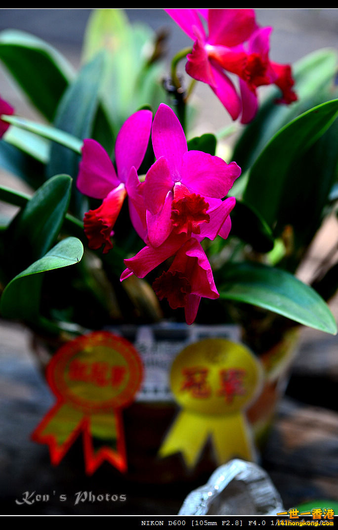 DSC_8191.jpg