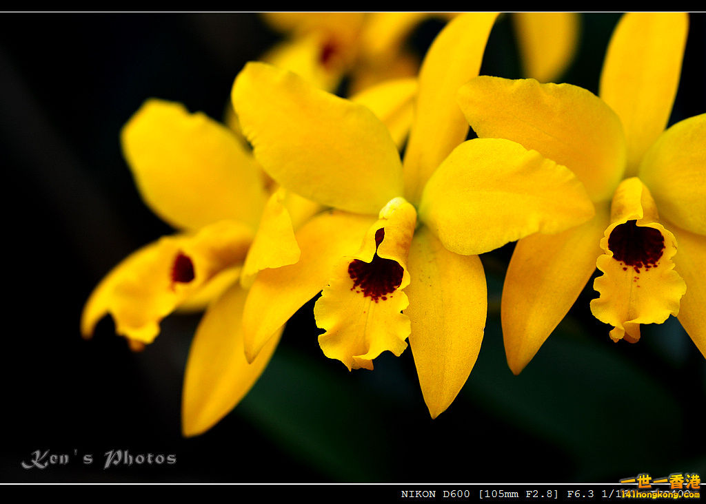 DSC_8139.jpg
