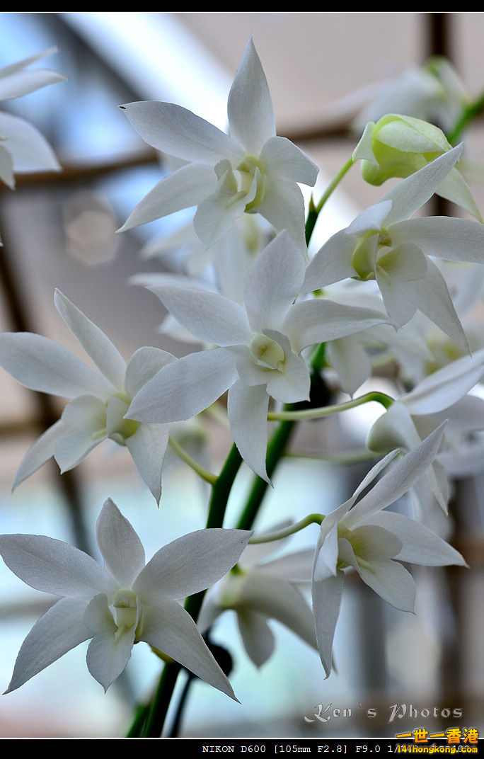 DSC_8141.jpg
