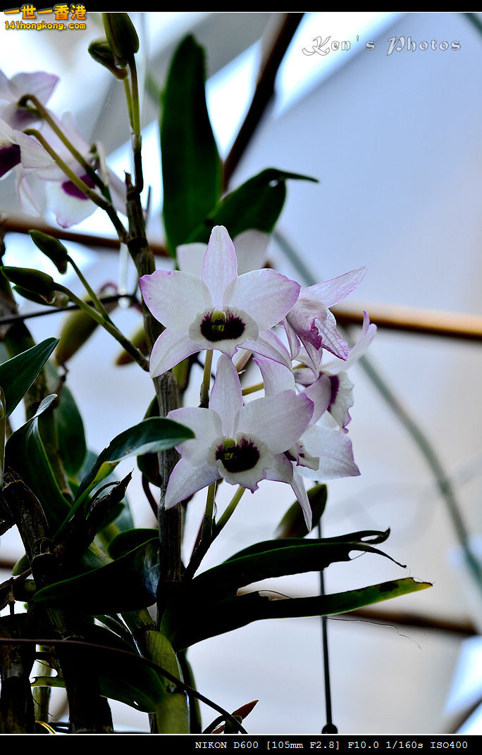 DSC_8145.jpg