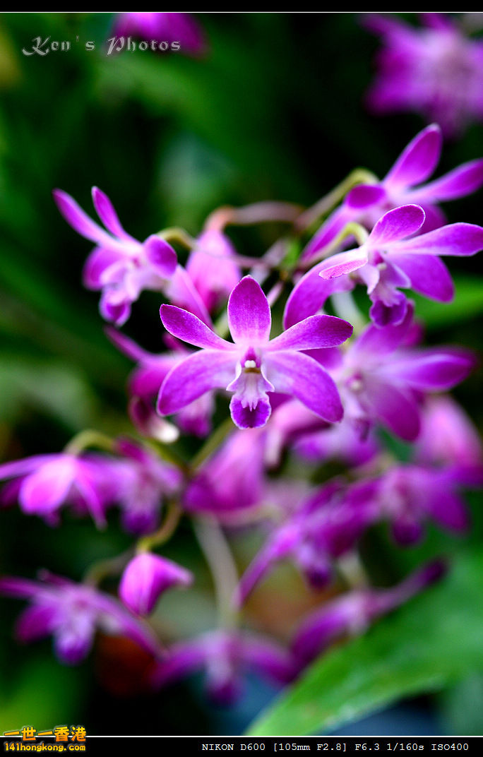 DSC_8156.jpg