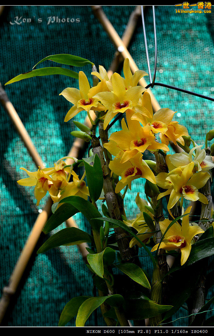 DSC_8159.jpg