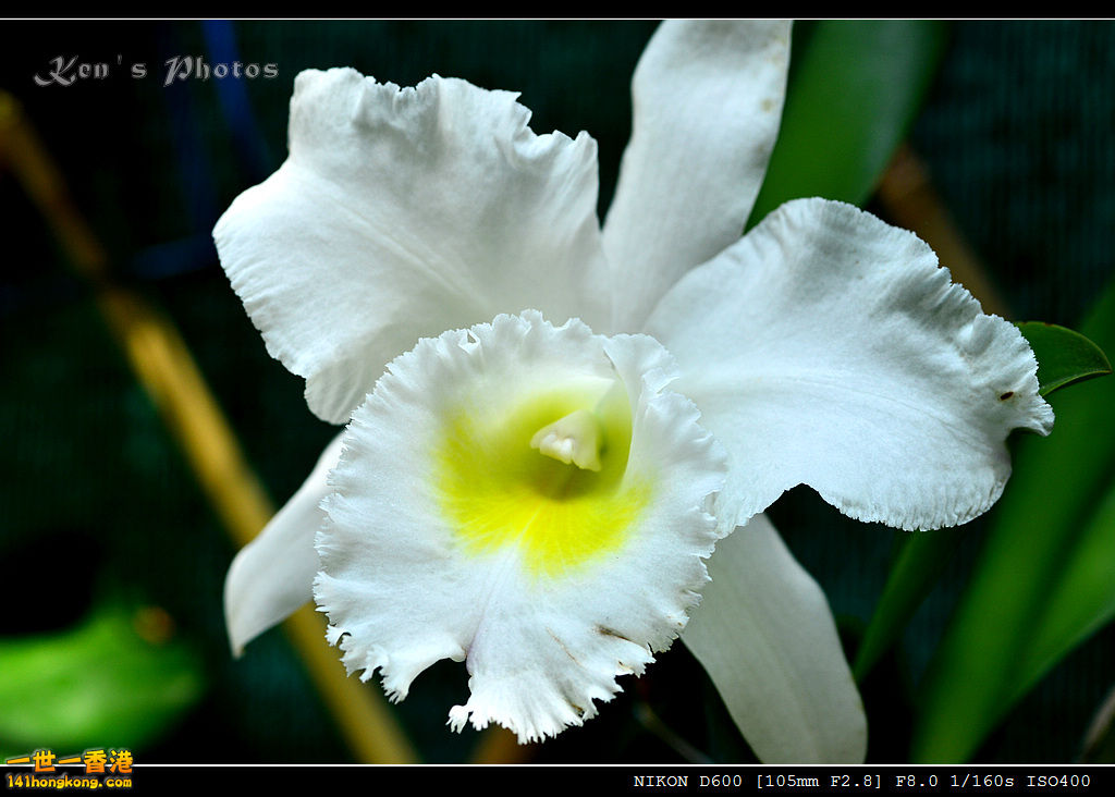 DSC_8122.jpg