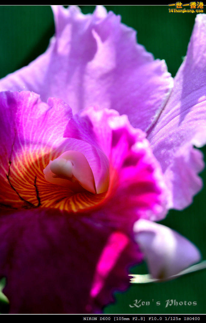 DSC_8092.jpg