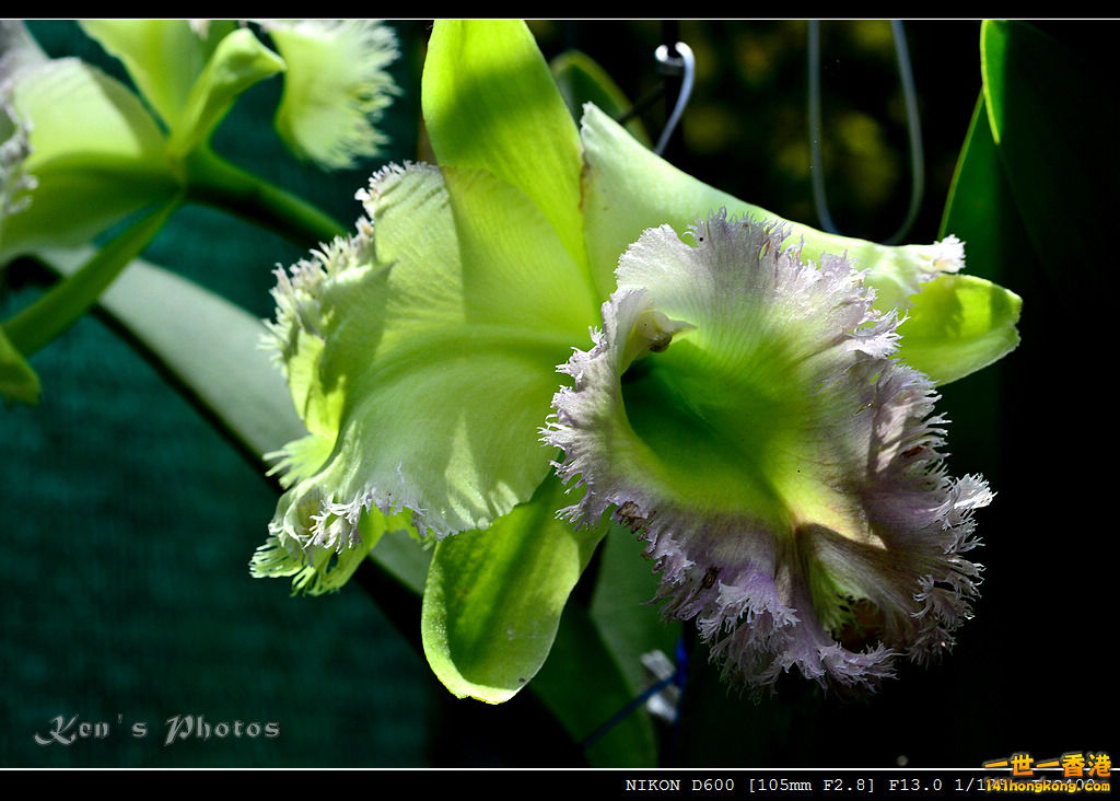 DSC_8102.jpg