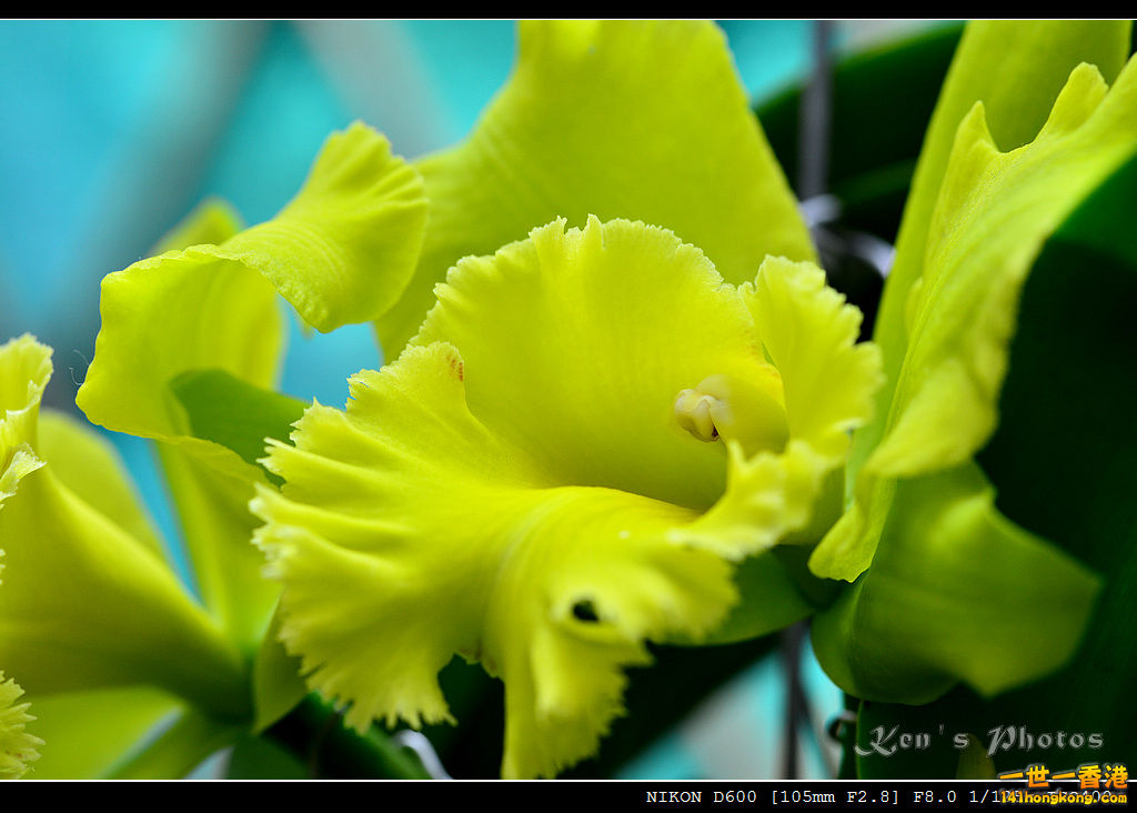 DSC_8104.jpg