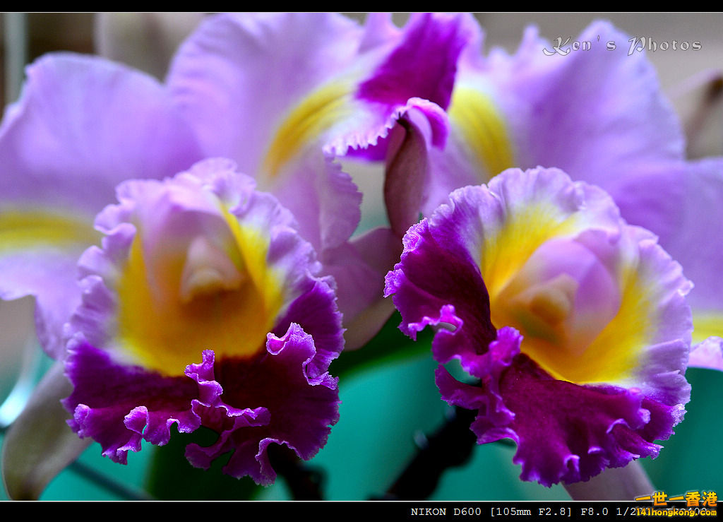 DSC_8107.jpg