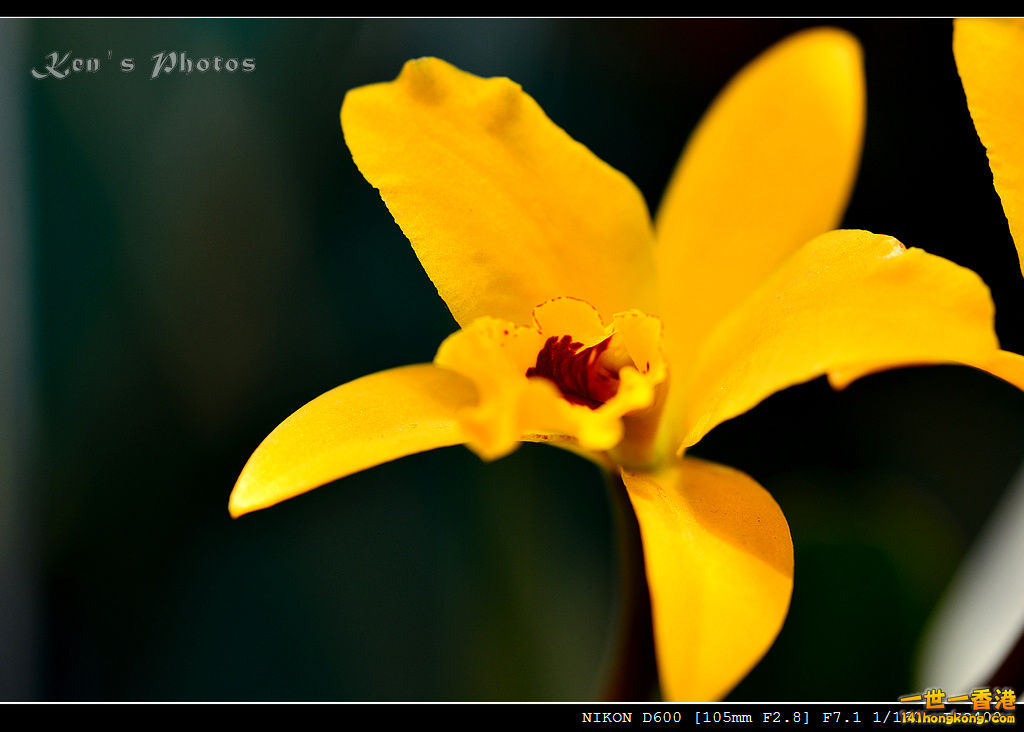 DSC_8119.jpg
