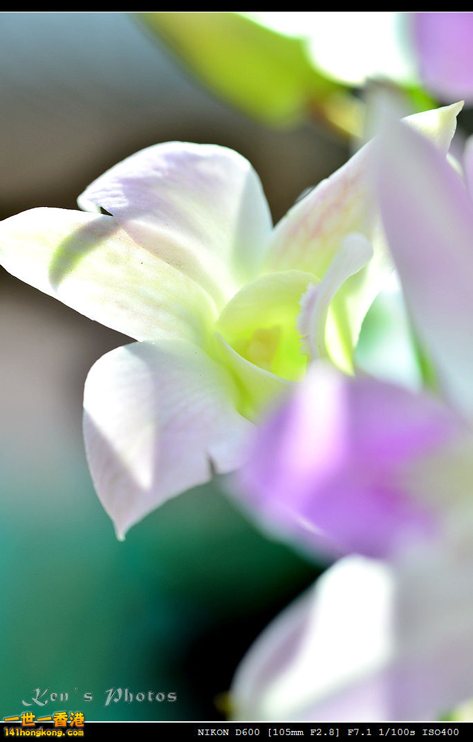DSC_8075.jpg