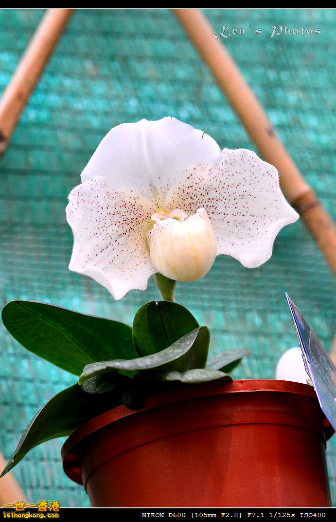 DSC_8079.jpg