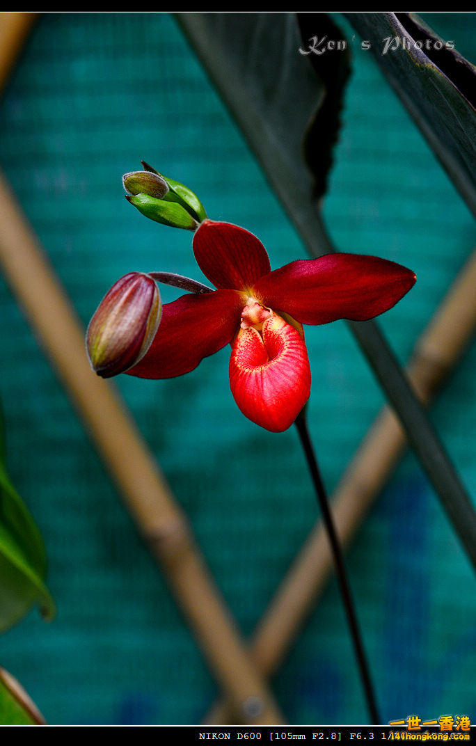 DSC_8083.jpg