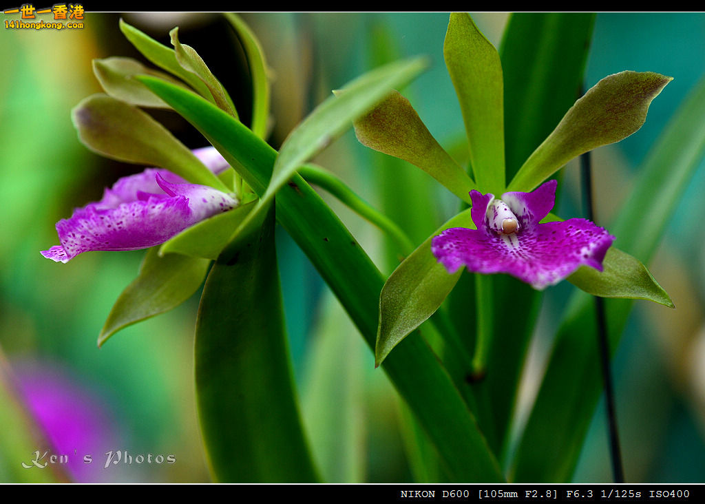 DSC_8051.jpg