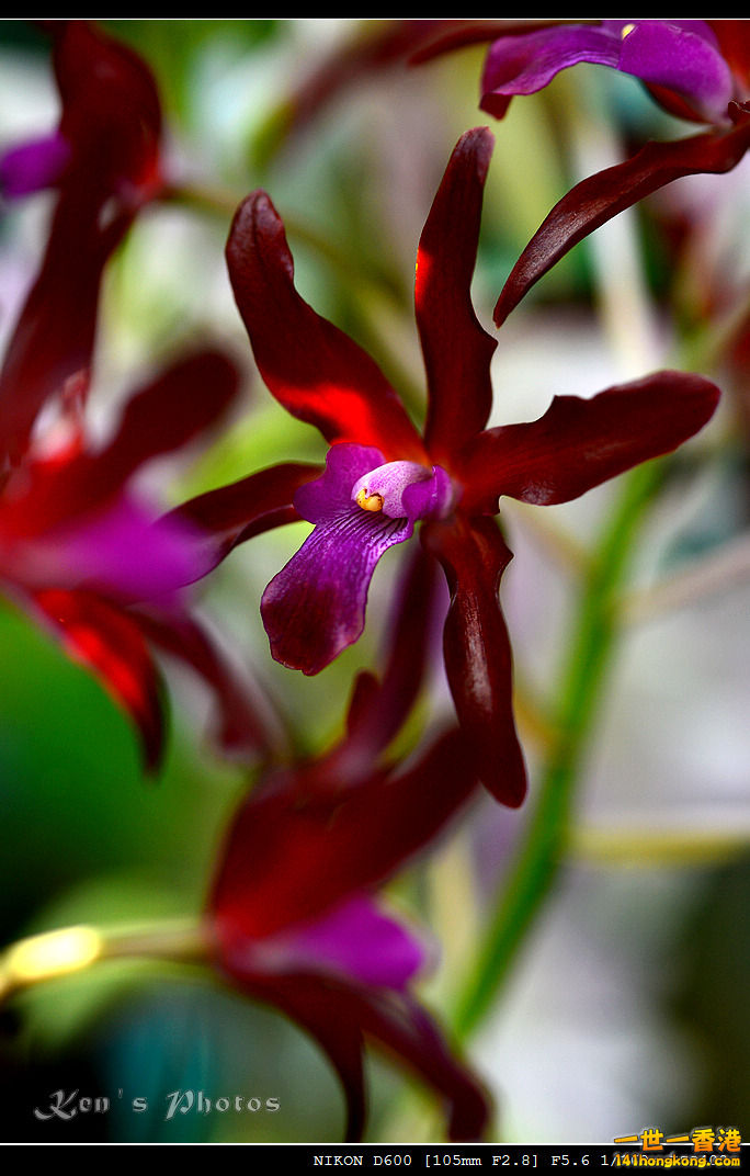 DSC_8059.jpg