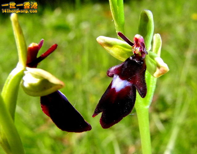 p124919725793 - 複製.jpg