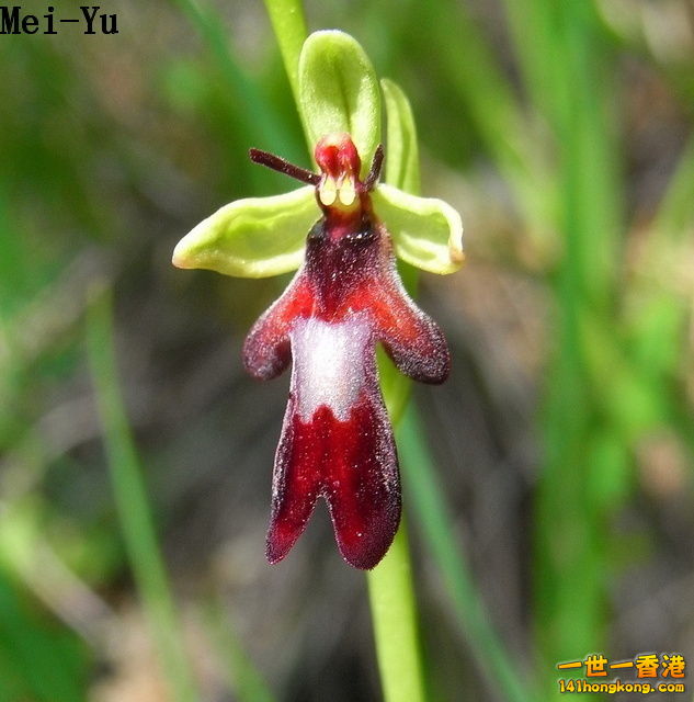 p124919728631 - 複製.jpg