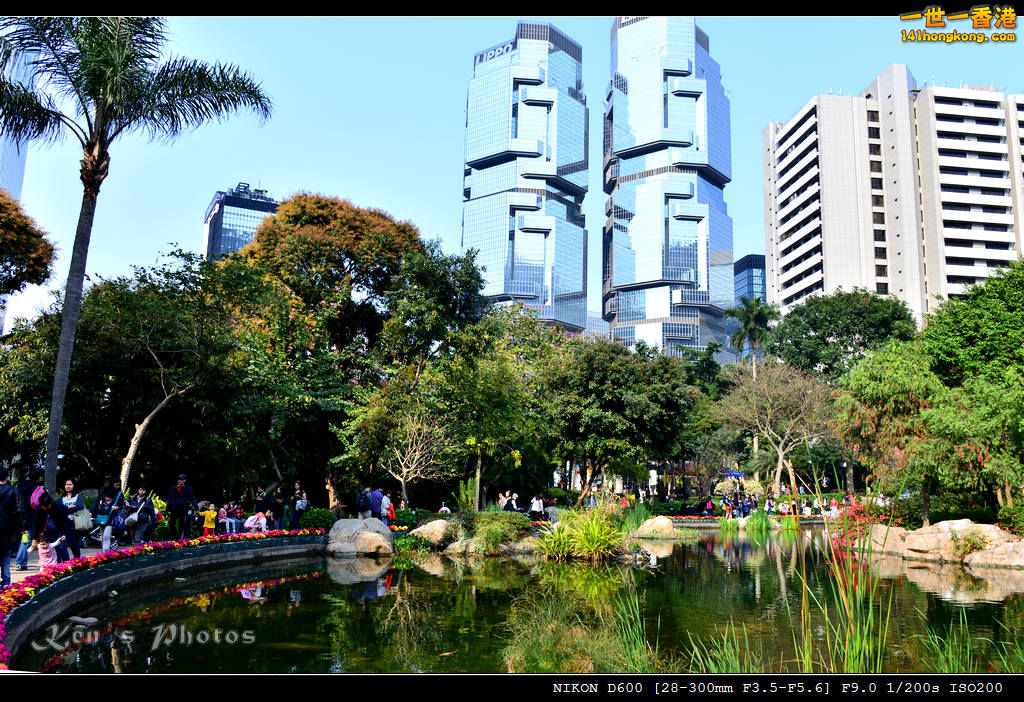 DSC_8356.jpg
