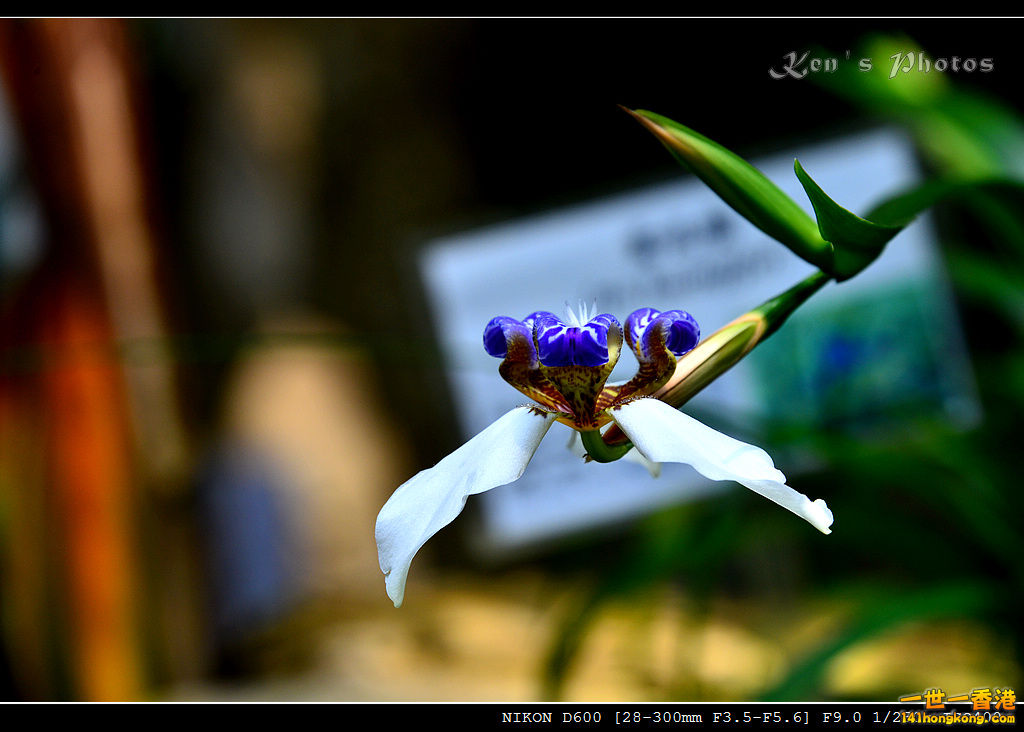 DSC_8224.jpg