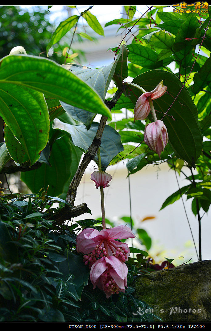 DSC_8227.jpg