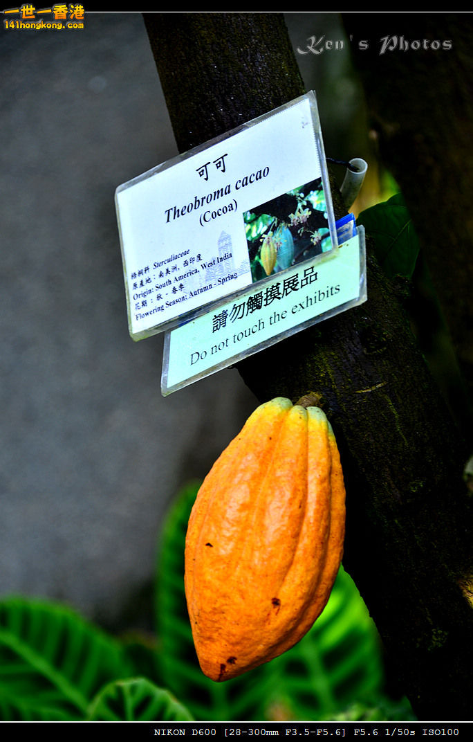 DSC_8231.jpg