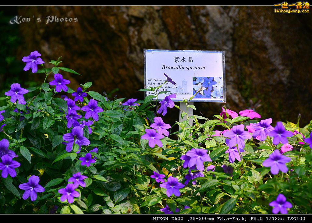 DSC_8234.jpg